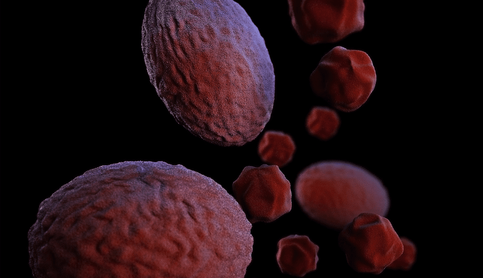  Supplier of Rare Disease Medicines: Ikris Pharma Network